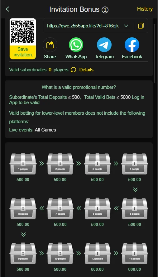 Z555 Game
