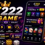C222 Game